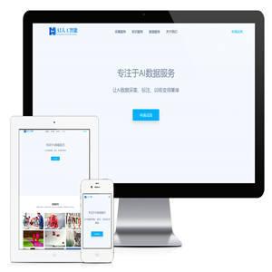响应式AI数据服务采集网站模板