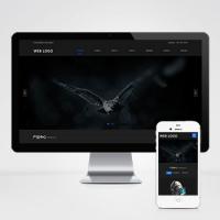 (自适应手机端)响应式高端摄影网站pbootcms模板 黑色酷炫数码摄影网站源码